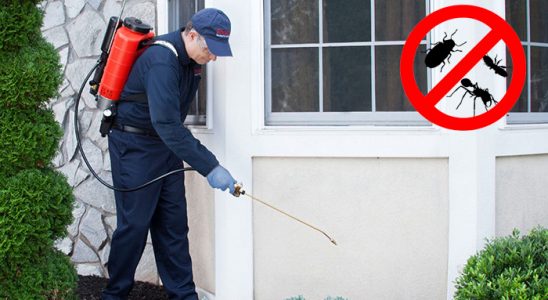 Kayapınar Gümüşkurt İlaçlama böcek ilaçlama ve haşere kontrolü — ilaclama-tr.com